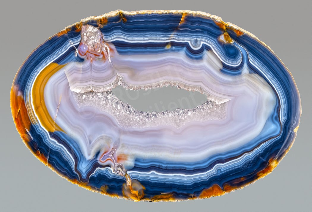 Showcase of assorted traditional sweets in candy shop decorated with string lights and balls for Christmas